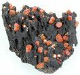 Red Vanadinite Crystals On ManganeseOxide - Morocco #38506-1